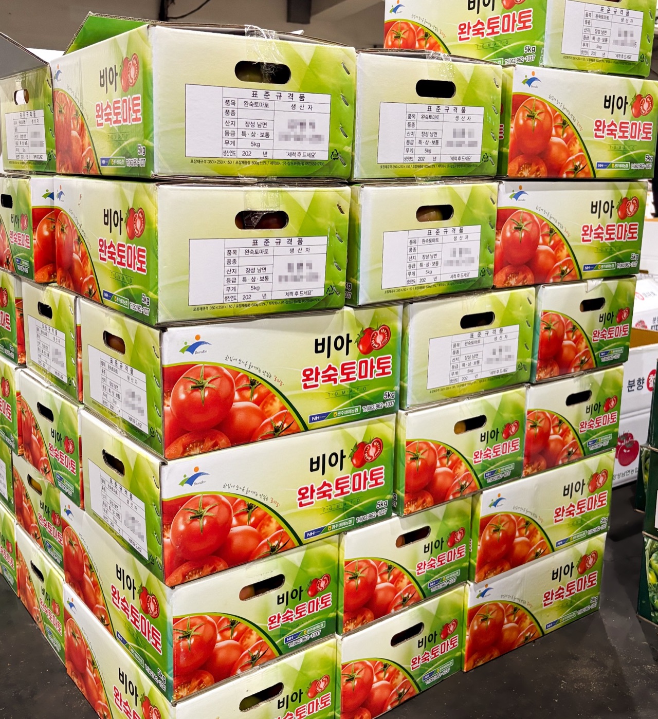 도매시장에 높이 쌓인 완숙토마토 5kg 상자들